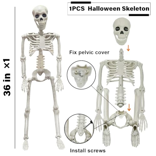 5.4Ft Posable Life Size Skeleton with Glowing Eyes N847