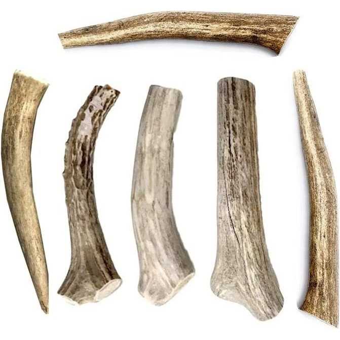 All Natural Whole Deer Antler Dog Chew Treats S597