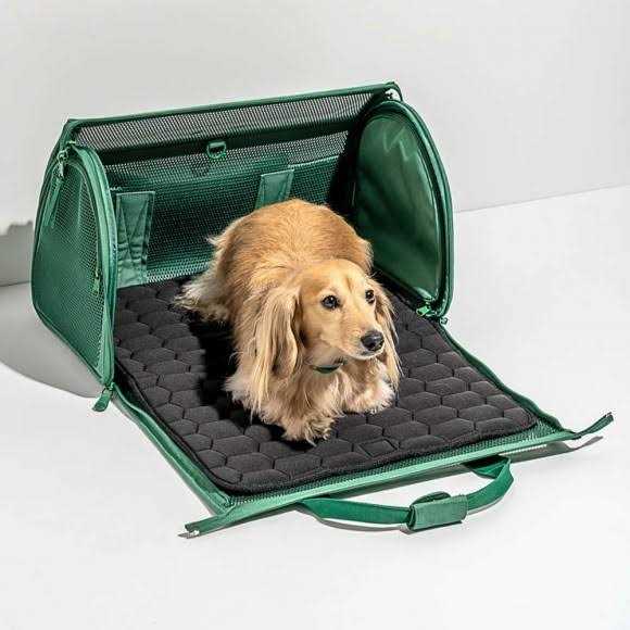 Travel Carrier C755803